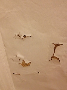 Ever-increasing damage in my little Paris place. But the real culprit is MOLD. I can't go near the stuff.